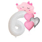 Foil Number Balloons Set 1-9 Helium Balloons for Girls Birthday Pink & Silver